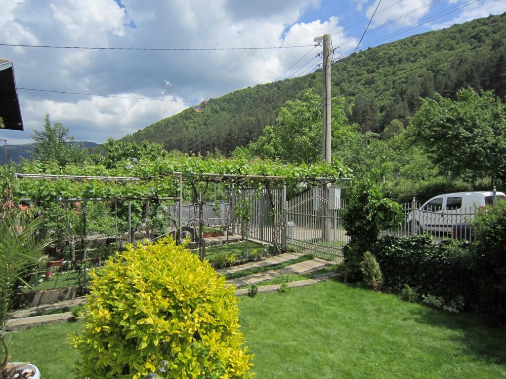 Slavina Guest House Sapareva Banya Bagian luar foto